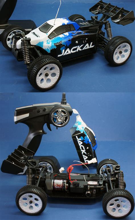 Ripmax 118 Jackal High Performance Rc Buggy Ready To Run Rmx0010