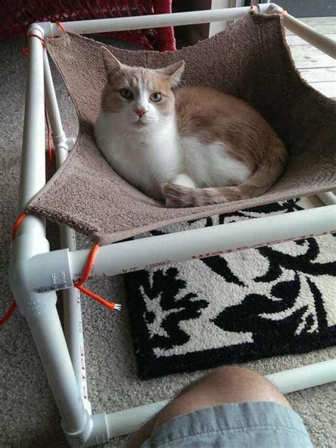 รวมไอเดียทำเปลแมว คอนโดแมว จากท่อ PVC ทำใช้ หรือทำเป็นอาชีพเสริมได้ ...