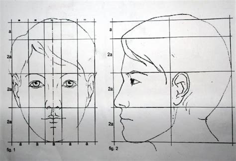 Создание пропорций тела человека Правила рисования пропорционального лица
