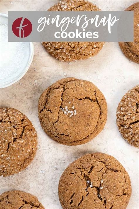 Gingersnap Cookie Recipe Flavor The Moments
