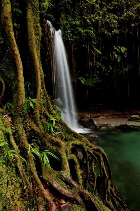 beautiful waterfall in dominica beautiful waterfalls waterfall caribbean islands