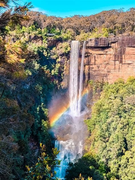 Fitzroy Falls Walk How To Explore The Best Waterfall In Nsw 24