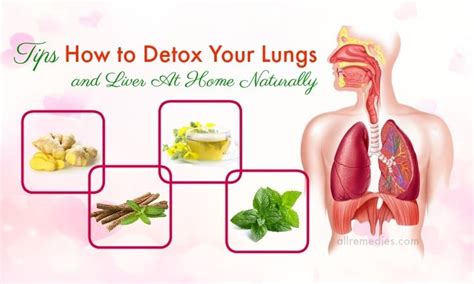 Top 10 Tips How To Detox Your Lungs And Liver At Home Naturally