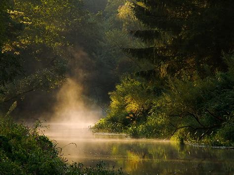 Morning River Sunshine River Morning Foggy Stream Hd Wallpaper
