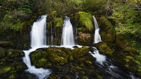 426133 Rocks Trees Water Long Exposure Moss Forest Watermarked