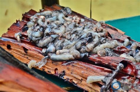 菲律賓共和國（他加祿語：republika ng pilipinas；英語：republic of the philippines），通稱菲律賓，是位於東南亞的一個群島國家。其地理位置處於西太平洋，北隔呂宋海峽與臺灣相望，雙方群島最近的距離為99公里，南隔西里伯斯海與印度尼西亞相望，西隔南海與越南相望. 世界上最噁心食物 生吞像鼻涕的「樹蟲」你敢挑戰嗎？ | ETtoday旅遊雲 | ETtoday新聞雲