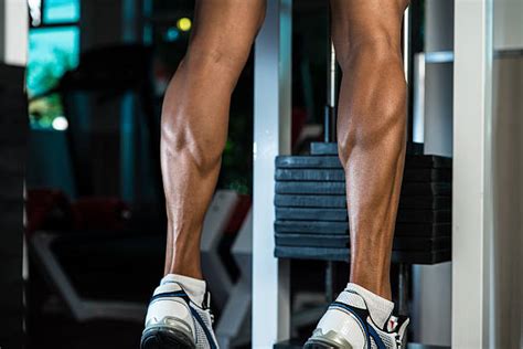 Body Builder Calves Stock Photos Pictures And Royalty Free Images Istock