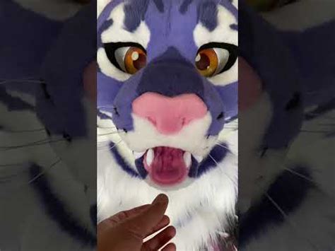 Purple Tiger Fursuit Youtube