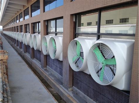 China Industrial Poultry Propeller Wall Fan Ofs 106sl China