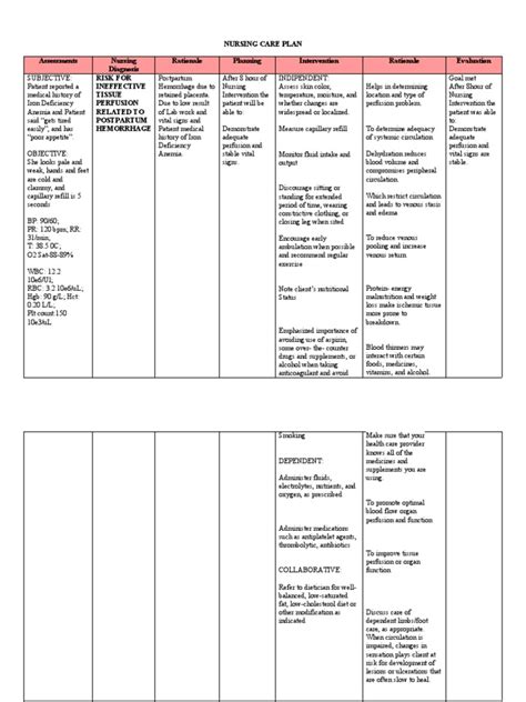 Nursing Care Plan Pdf Perfusion Anemia