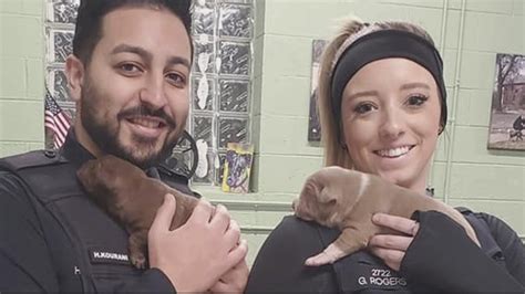 A Christmas Miracle Detroit Police Officers Keeping Puppies They