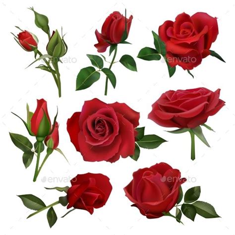Realistic Decorative Roses Bouquet Floral Red Red Roses Rose Bouquet