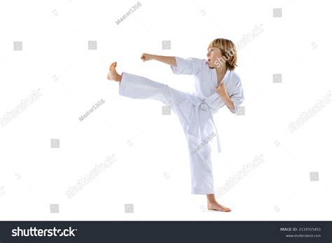 Basic Karate Kicks One Sportive Little Stock Photo 2119315451