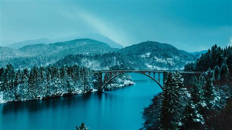 Beautiful Bridge Between Lake In Forest 4k Hd Nature 4k Wallpapers