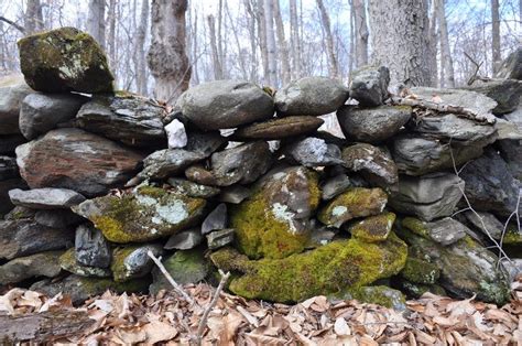 New England Is Crisscrossed With Thousands Of Miles Of Stone Walls