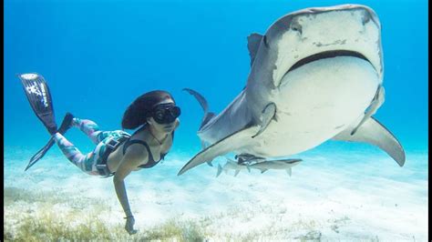 Cette Fille Est La Meilleure Amie Des Requins Shark Girl Zapping