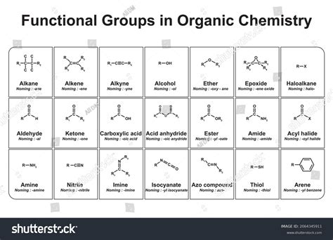 Functional Groups Organic Chemistry Vector Illustration เวกเตอร์สต็อก