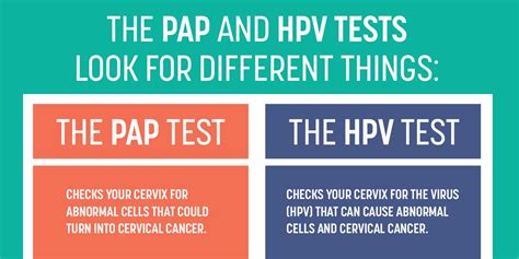 Know Hpv On Twitter Didyouknow Pap Tests Check For Abnormal Cells