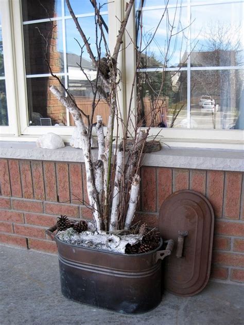 Birch Tree Poaching Linked To Trendy Home Decor