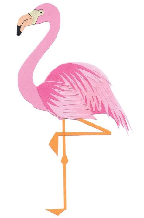 Limited Edition Flamingo Print By Frankiepip On Etsy 0 Ilustración Aves En 2019 Arte