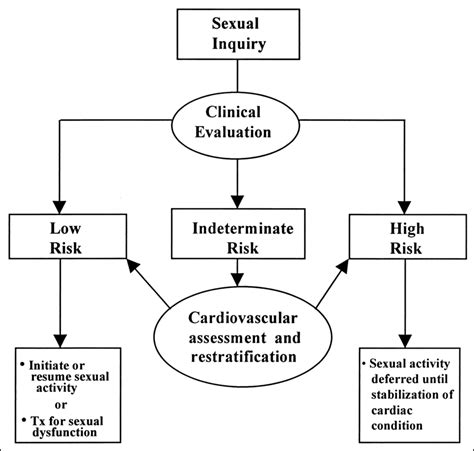 Sexual Activity And Cardiac Risk A Simplified Algorithm Tx Therapy