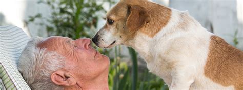 Interactuar Con Animales Reduce El Aislamiento De Los Ancianos