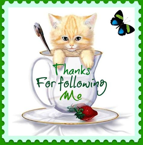 Thanks For Following Me ♥ Thankful Make You Smile Animals Images