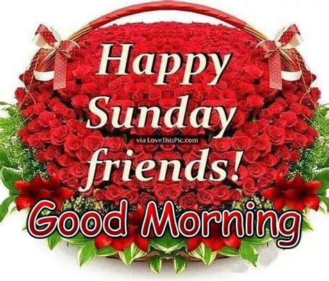Good Morning Happy Sunday Friends Pictures Photos And Images For
