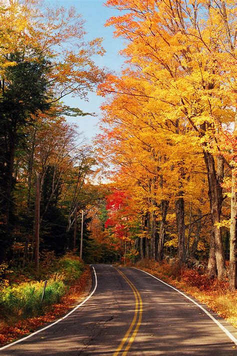 Autumn Country Road Photograph By Joann Vitali Fine Art America