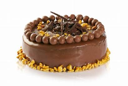 Cake Cakes Malteser Chocolate Maltesers Birthday Transparent