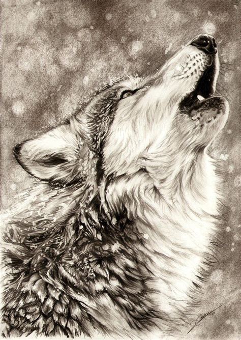 Howling Wolf Pencil Drawings Of Animals Animal Drawings Wolf Art