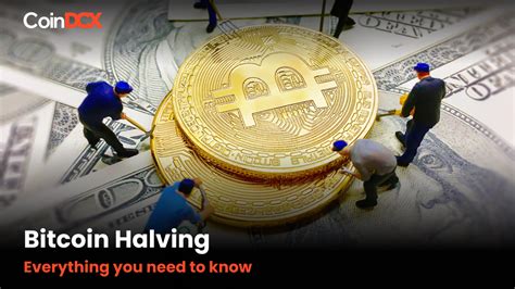 what is bitcoin halving everything you need to know