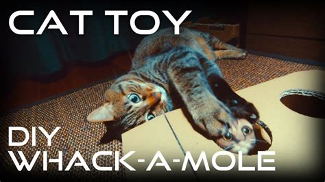 Cat Toy Diy Whack A Mole From Cardboard Youtube Cat Toys Diy Cat