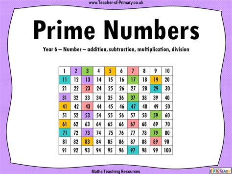 Year 6 Prime Numbers Worksheet