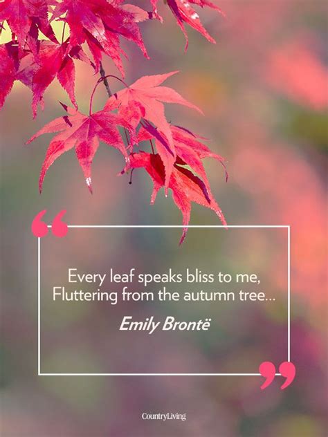23 Quotes That Will Make You Fall In Love With Autumn Trees Best
