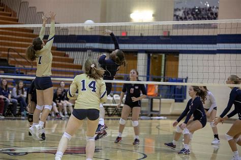 Buy now my account promotions ticket information stubhub: Pin by Talon Yearbook on 2019 Volleyball | Basketball ...