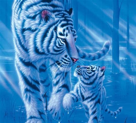 Baby Tiger Wallpaper 3d