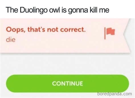 Duolingo Memes Alert Funny Clean