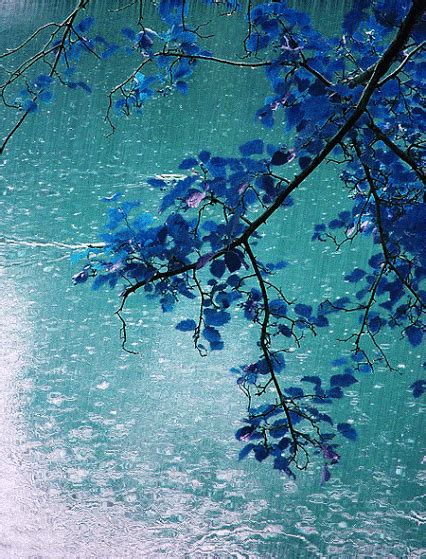 Beautiful Rain Pictures Photos And Images For Facebook Tumblr