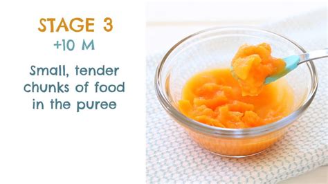 Is your baby ready for stage 2 baby food? From Puree to Finger Food - How to introduce texture in ...