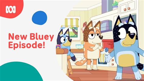 Bluey New Fathers Day Episode 💙 Bluey Abc Kids Youtube