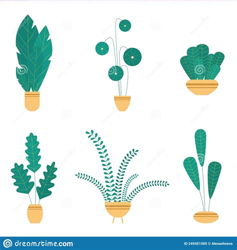 Set House Plants And Flowers In Ceramic Pots Stock Vector