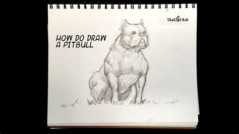 How To Draw A Dog Pitbull Cool Drawing Pencil Sketch Youtube