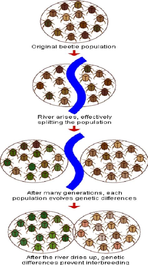 Isolation Its Role In Evolution