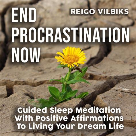 Librofm End Procrastination Now Audiobook
