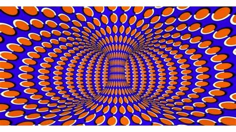 25 insane optical illusions that will leave you dazed and confused