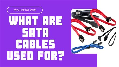 What Are Sata Cables Used For Pc Guide 101