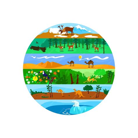 Banner Web 2d De Biodiversidad Póster Vida Salvaje Mundial Paisaje