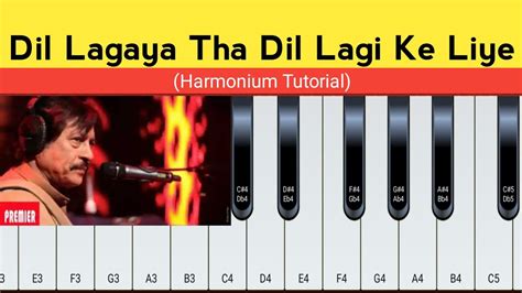 Dil Lagaya Tha Dillagi Ke Liye Harmonium Tutorial Attaullah Song Youtube