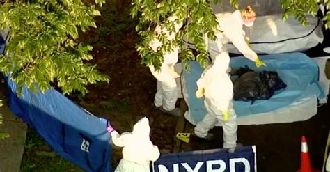 Dismembered Body Found In Trash Bags Outside Bronx Park The New York
